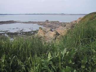 IMG_1942.JPG